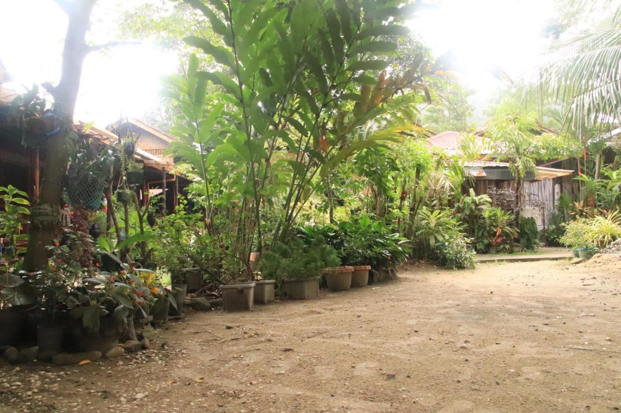 Theresa'S Pension House San Vicente  Exteriér fotografie